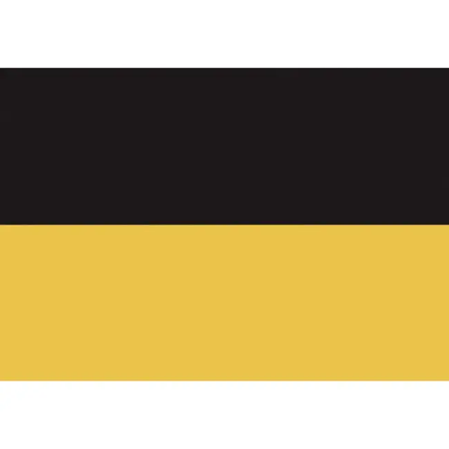 Talamex Baden-wurttembergse vlag 20x30 Nu Kopen