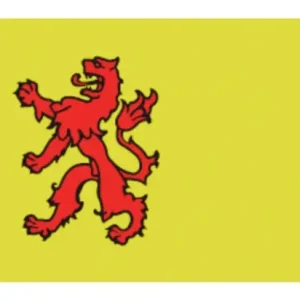 ZUID-HOLLANDSE VLAG 30X45 Alleen Vandaag