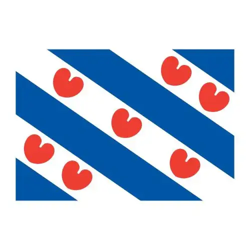 Friese Vlag voor de Boot Gereduceerde Prijs