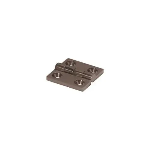 Meest Verkocht Allpa RVS Gegoten Scharnier 102 x 38 mm
