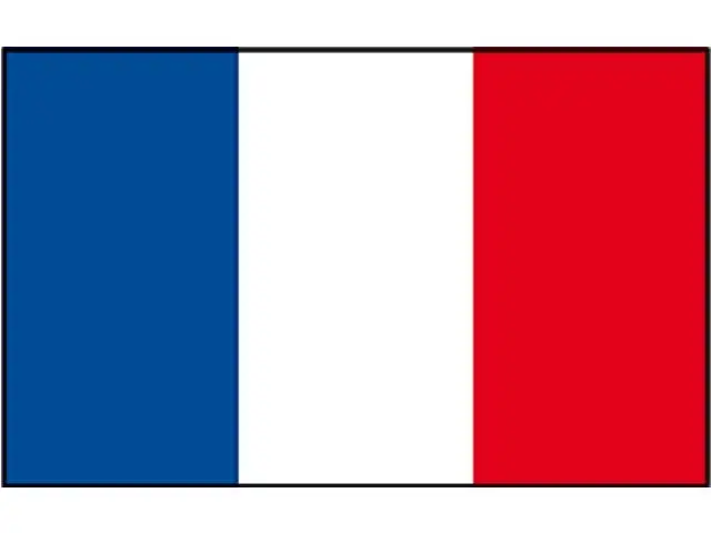 Betaalbaar Franse vlag
